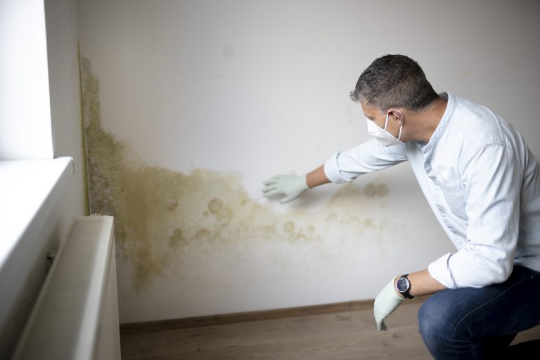 rising damp Leeds